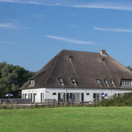 In Texel Near De Slufter Reserve